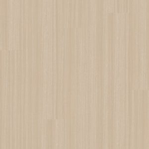 Carvalho Studio